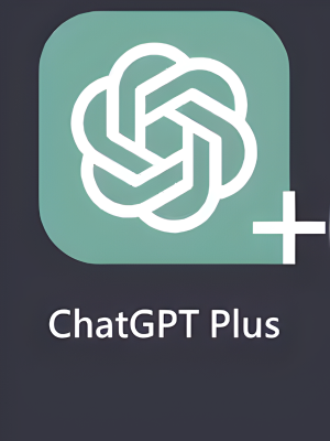 Chat GPT Plus 12 Month - Official Account - Shared