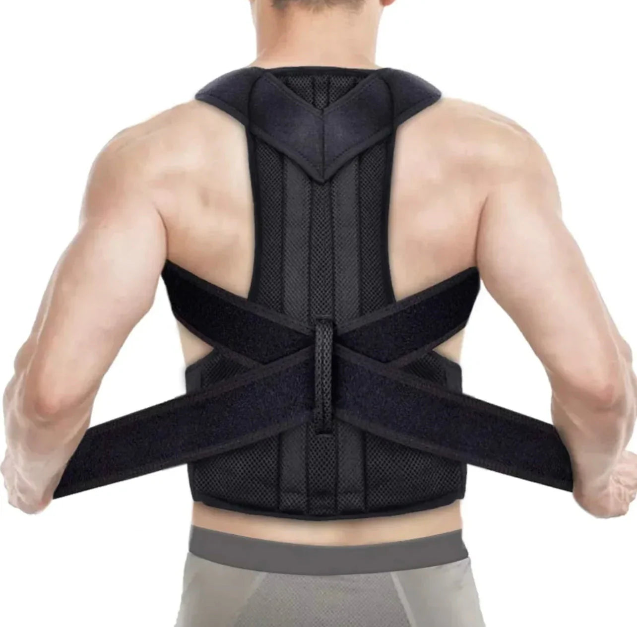 Adjustable Back Support Belt Metal Rads