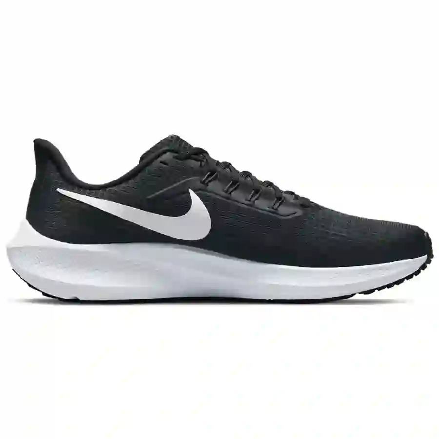 Nike Pegasus 39(Black)