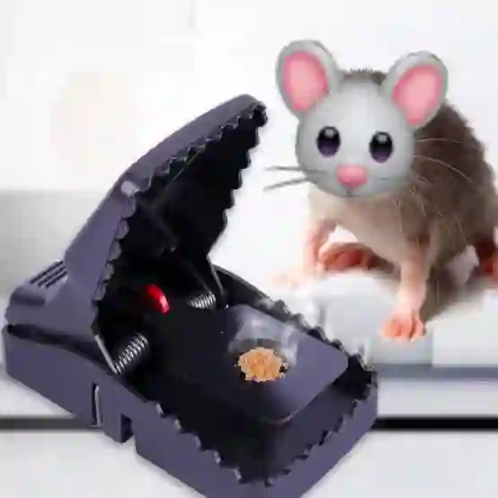 Mouse trap