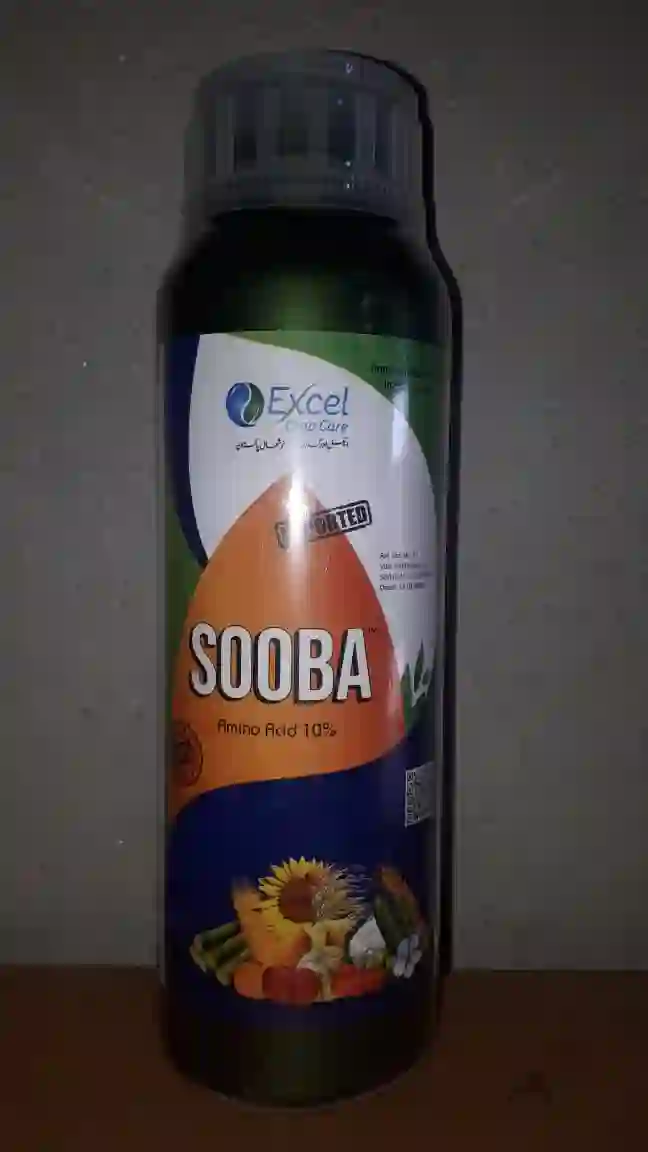 sooba Shilajeet