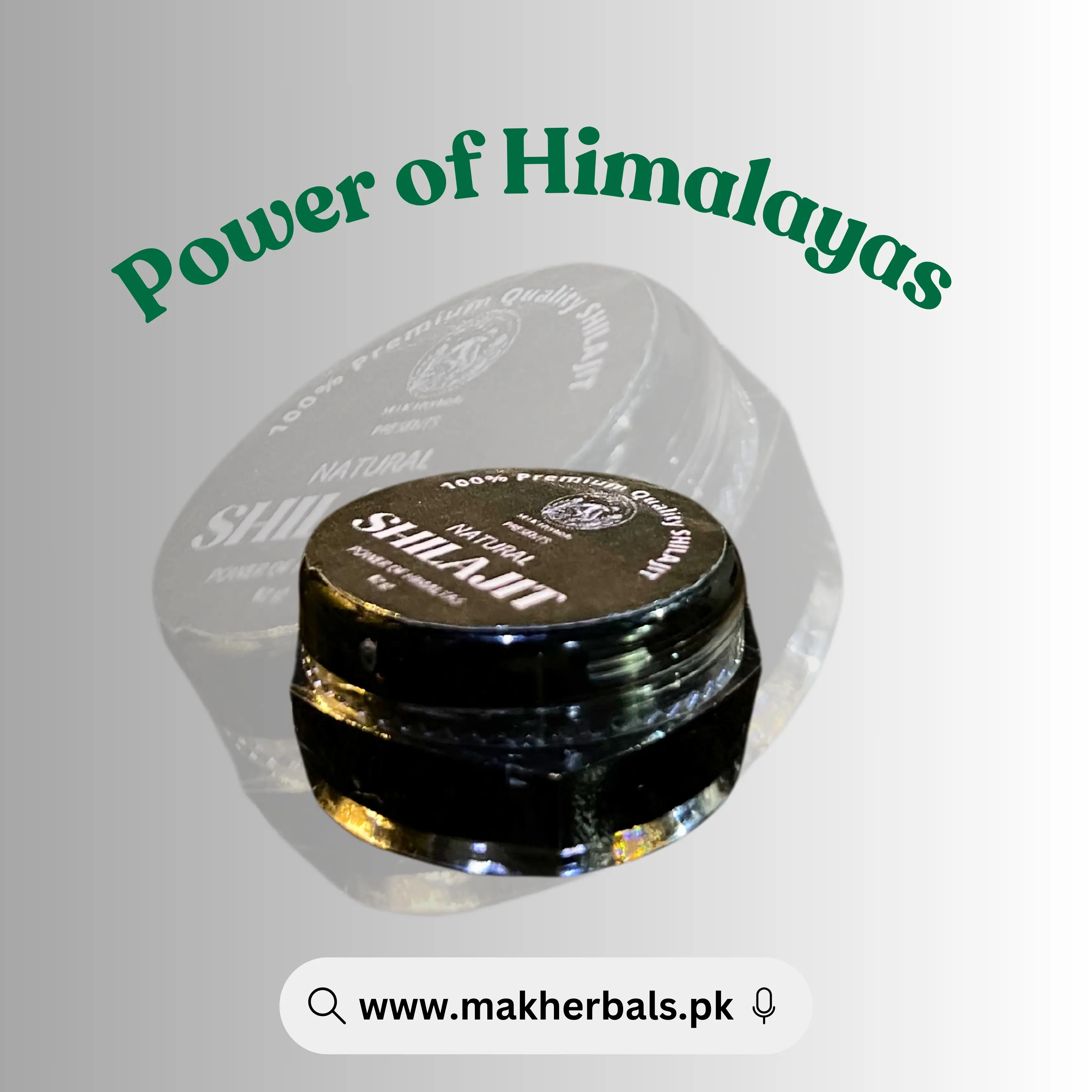 Shilajit 12g