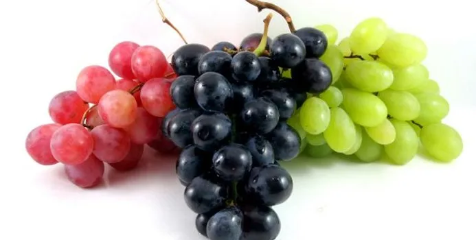 Grapes