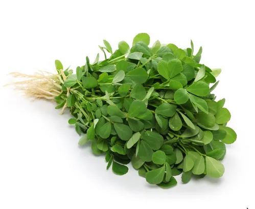 Fenugreek ( Methi )