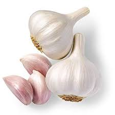 Garlic ( Lasan )