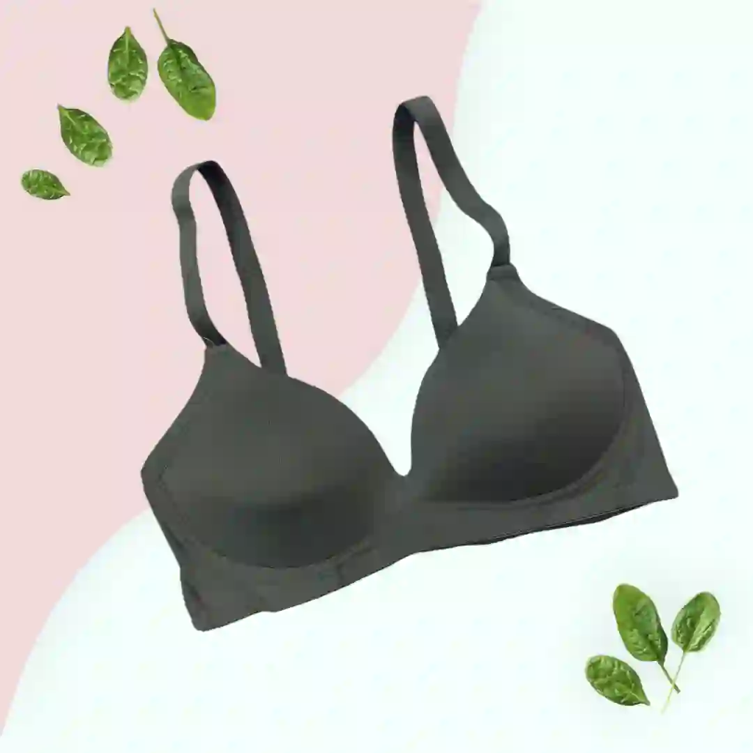 Silk Plain Comfortable Padded T-Shirt Bra