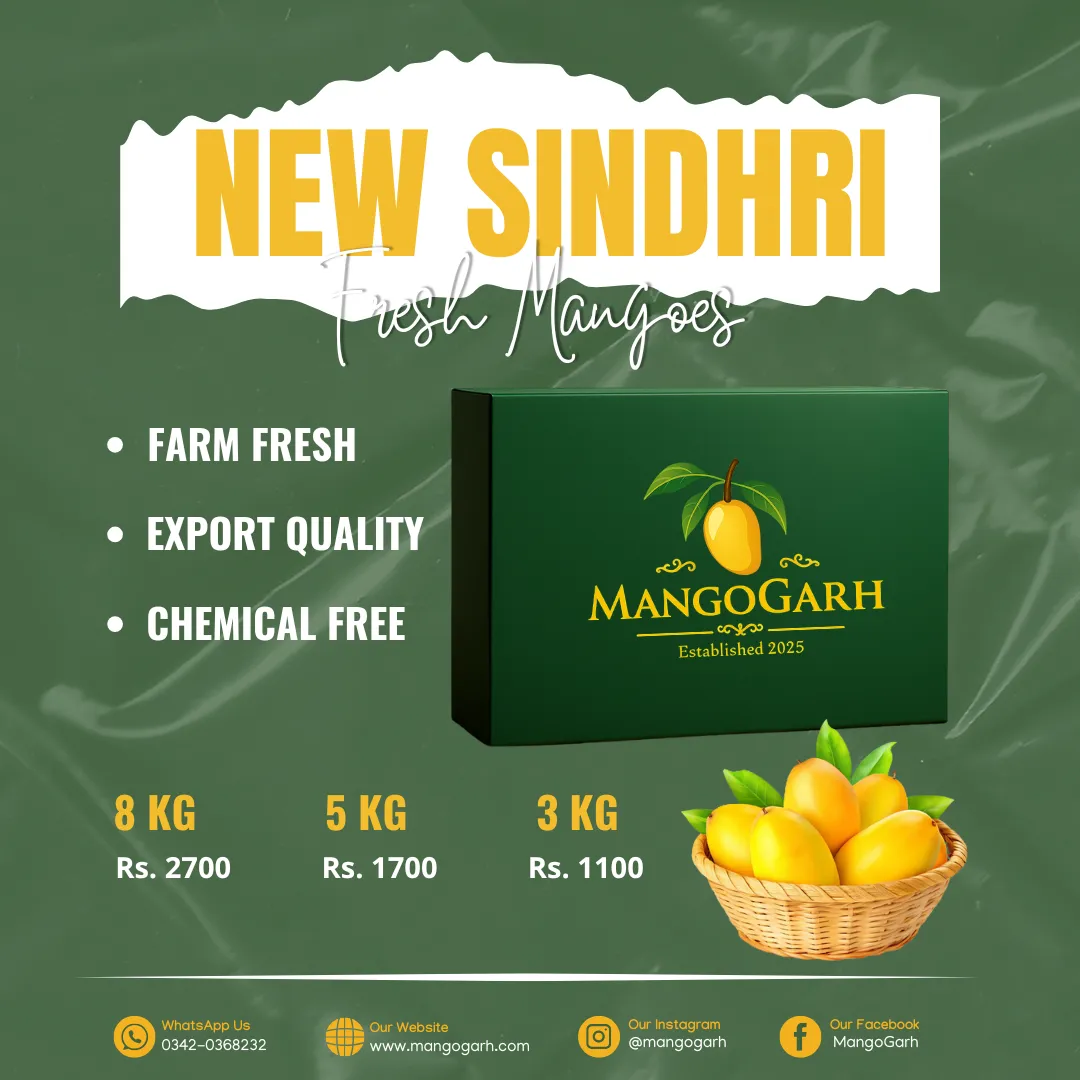 New Sindhri
