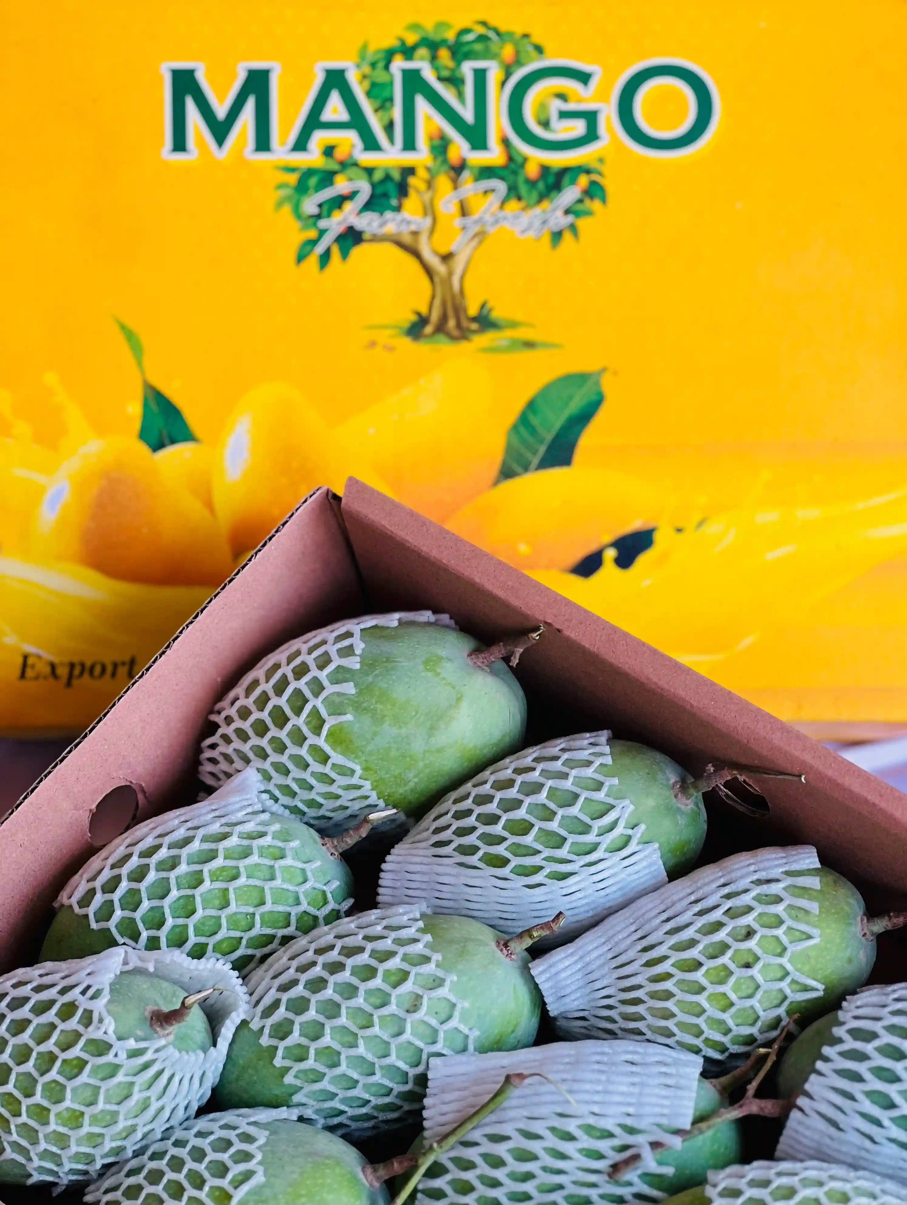Fajri