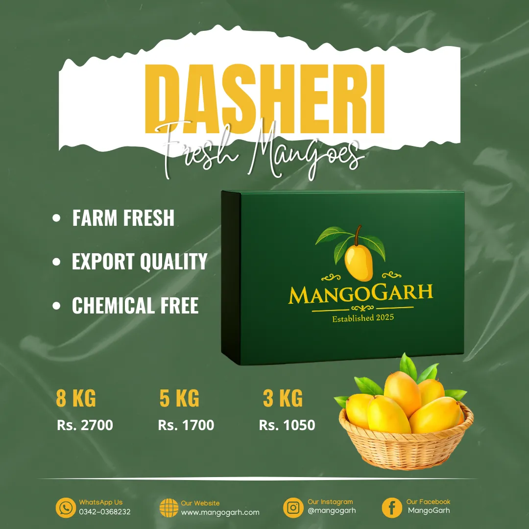 Dasheri Mango