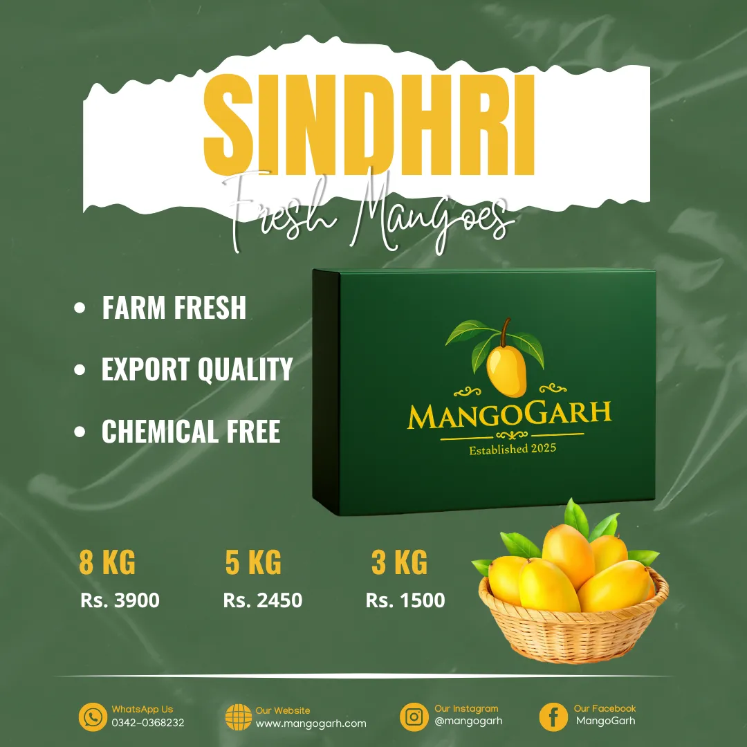 Sindhri