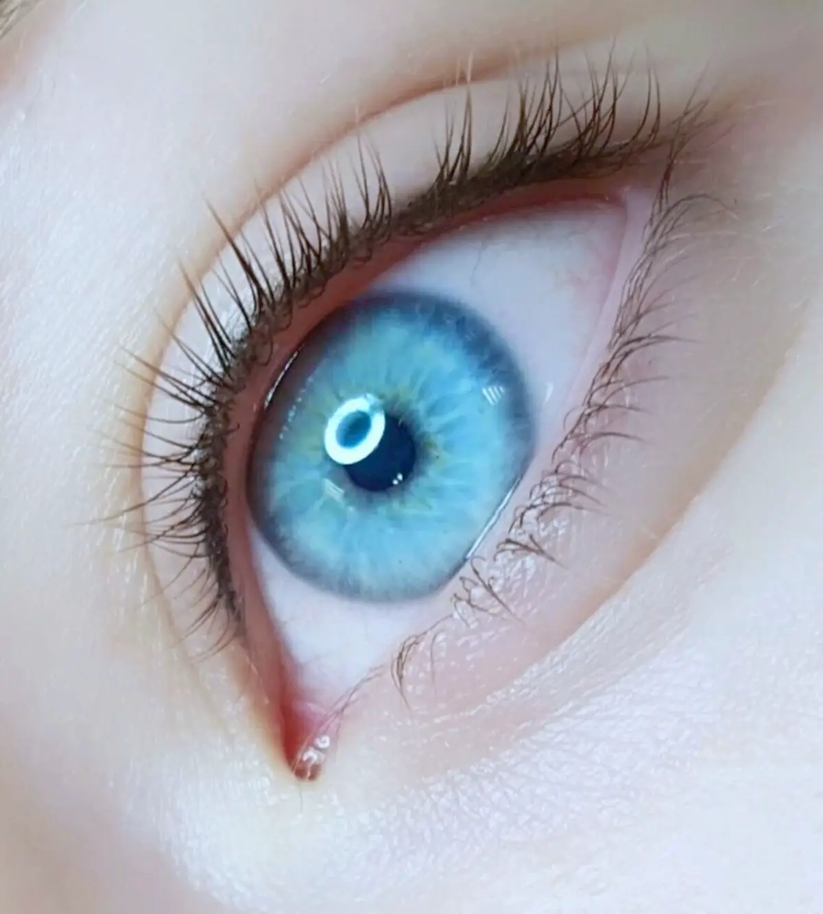 Eyes & Brows
