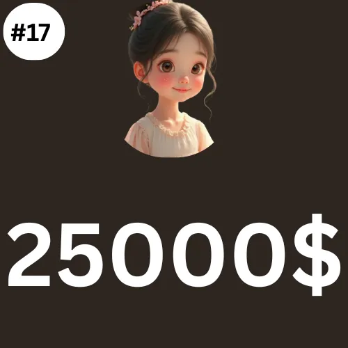 25000$ Dollar PLAN