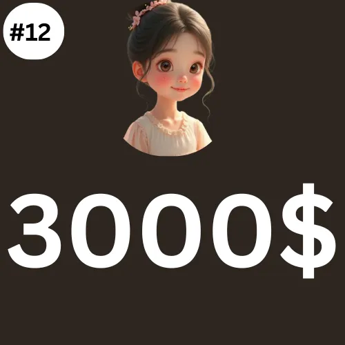 3000$ Dollar PLAN
