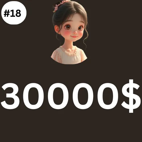 30000$ Dollar PLAN