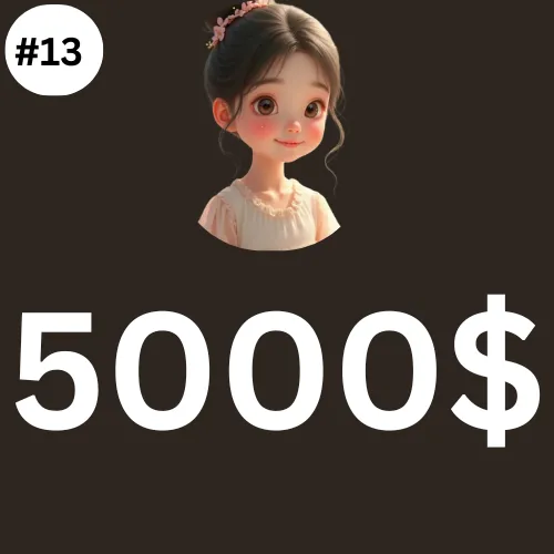 5000$ Dollar PLAN