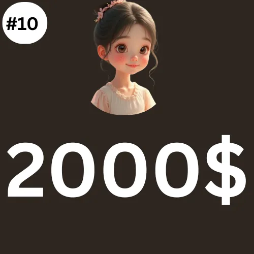 2000$ Dollar PLAN
