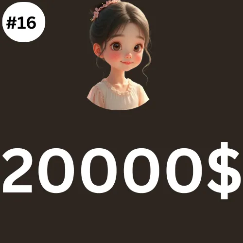 20000$ Dollar PLAN