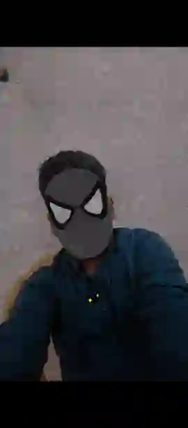 spider