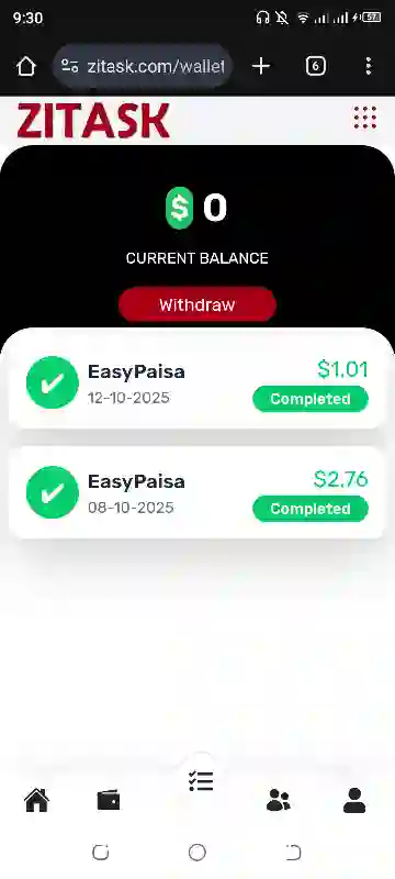 Zitask Earn Mony