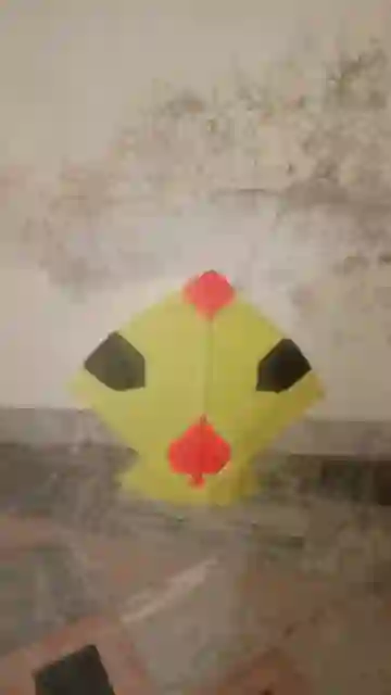 kite
