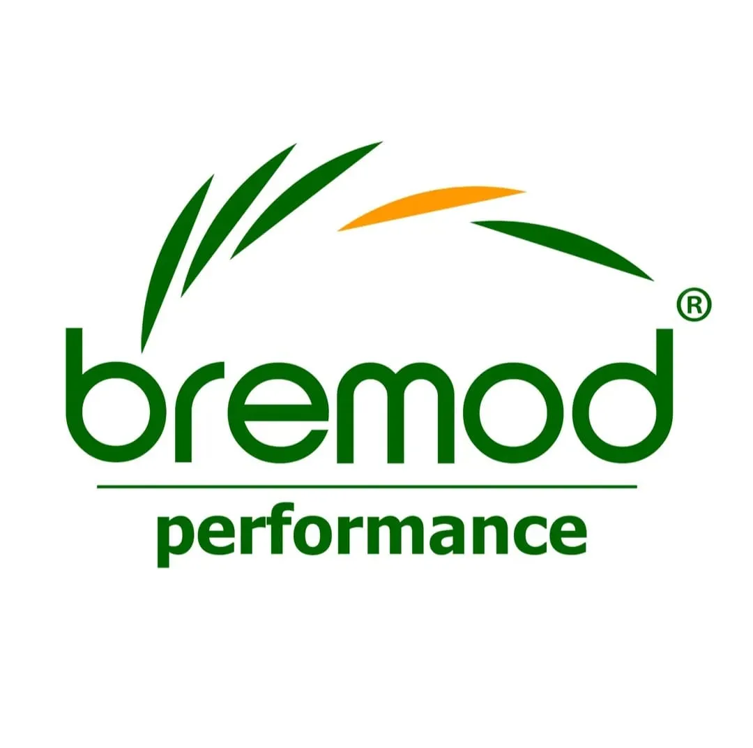 Bremod Hair Color