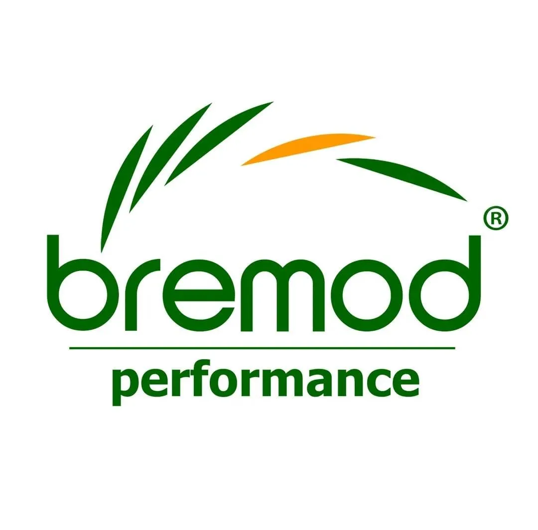 Bremood