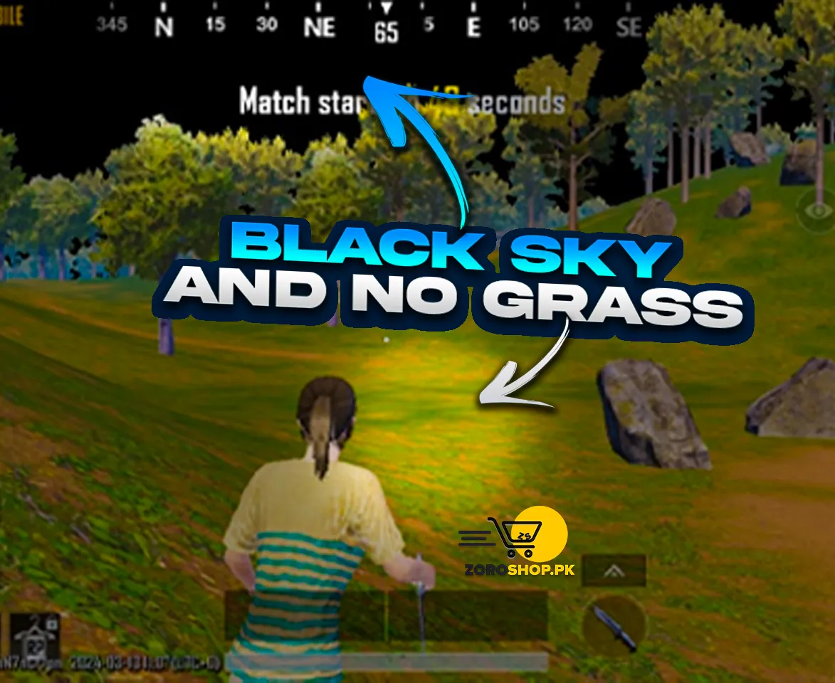 BLACK SKY & NO GRASS