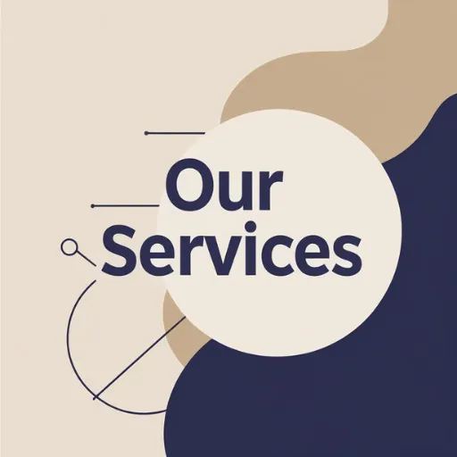OUR PROFESSIONAL SERVICES:-